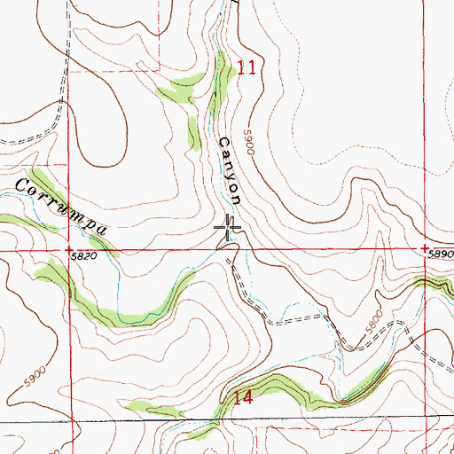 Topographic Map of Hackberry Canyon, NM