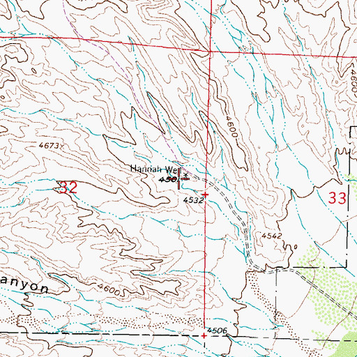Topographic Map of Hannah Well, NM