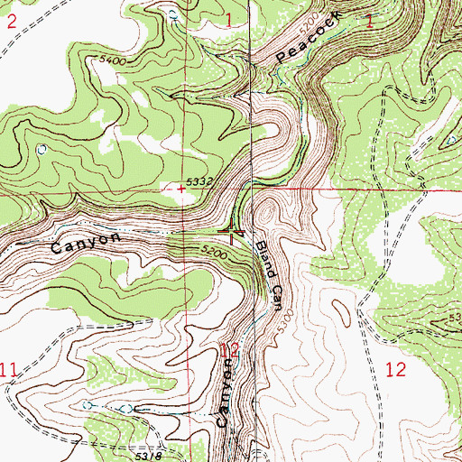 Topographic Map of Hardesty Canyon, NM