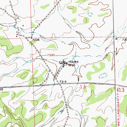 Topographic Map of Hayes Well, NM