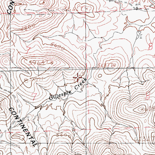 Topographic Map of Henrys Cabin, NM
