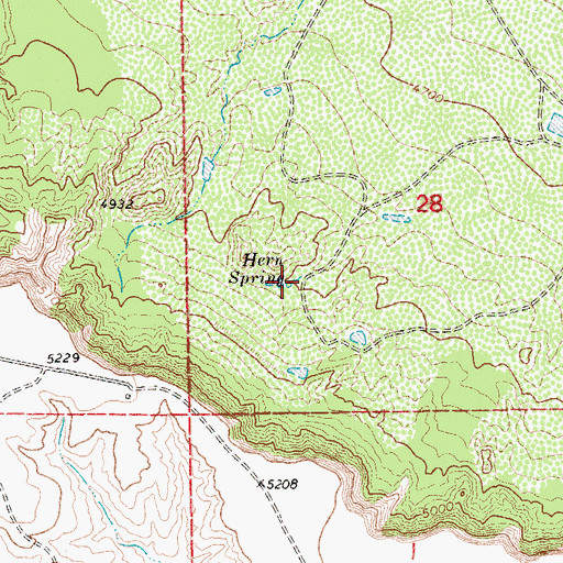 Topographic Map of Hern Spring, NM