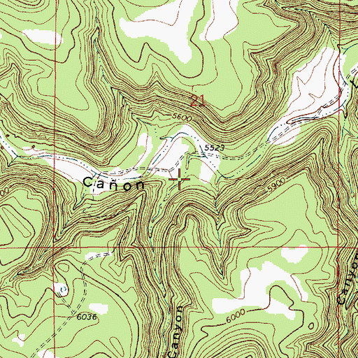 Topographic Map of Higgins Canyon, NM