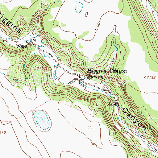 Topographic Map of Higgins Canyon Spring, NM