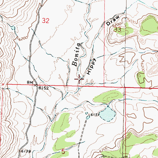 Topographic Map of Hippy Draw, NM