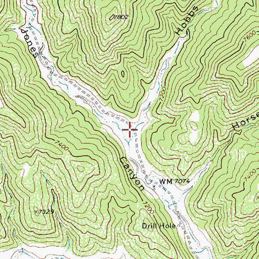 Topographic Map of Hobbs Canyon, NM