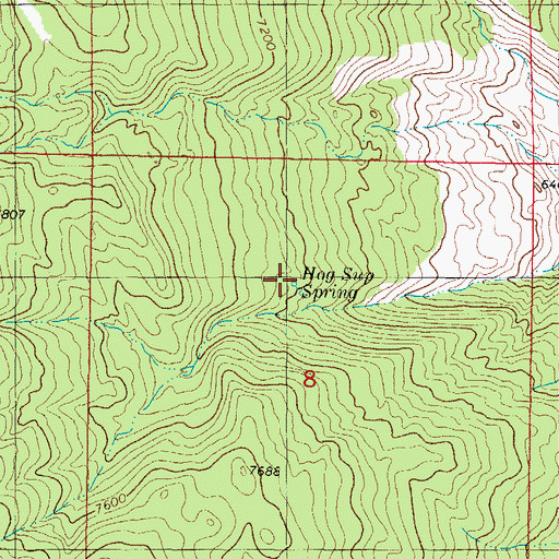 Topographic Map of Hog Sup Spring, NM