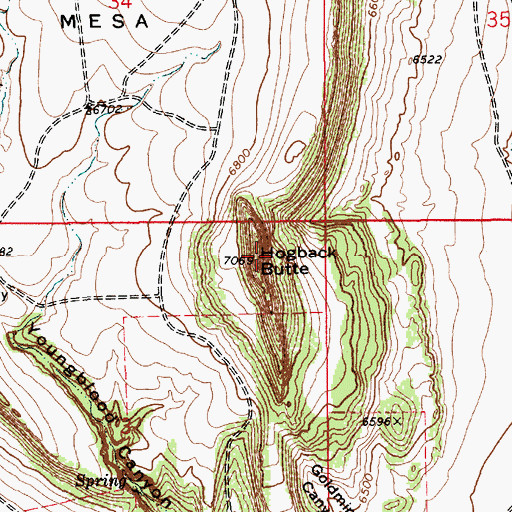 Topographic Map of Hogback Butte, NM