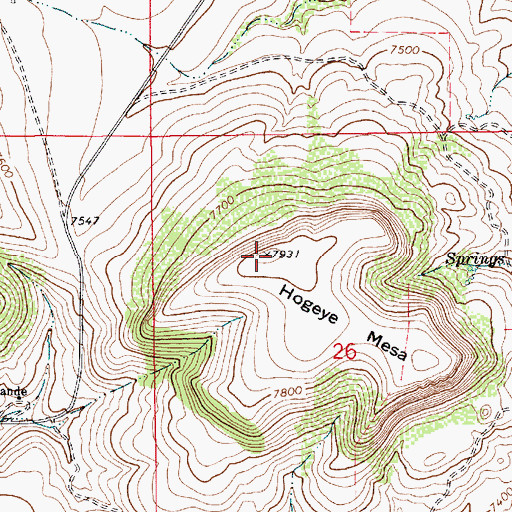 Topographic Map of Hogeye Mesa, NM