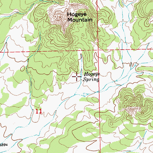 Topographic Map of Hogeye Spring, NM