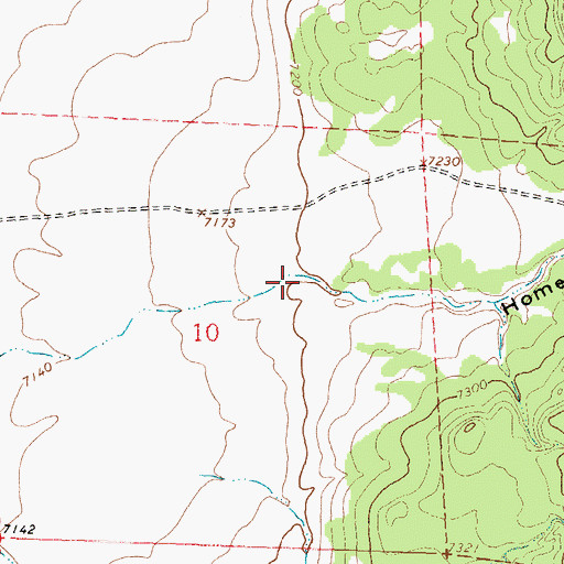 Topographic Map of Homestead Canyon, NM
