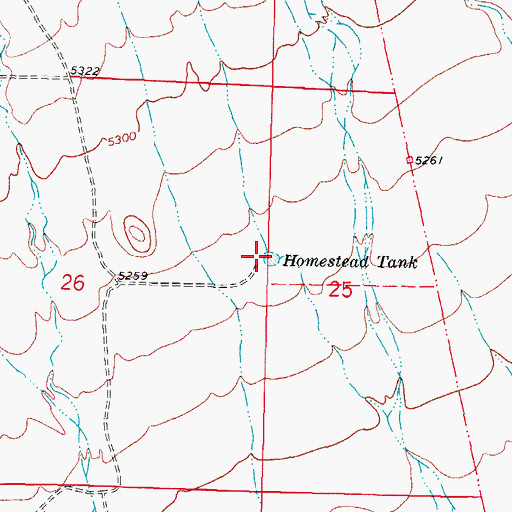 Topographic Map of Homestead Tank, NM