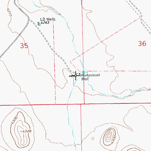 Topographic Map of Homestead Well, NM