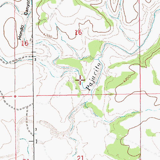 Topographic Map of Hondo Canyon, NM