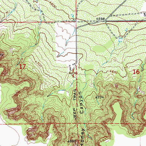 Topographic Map of Honey Canyon, NM