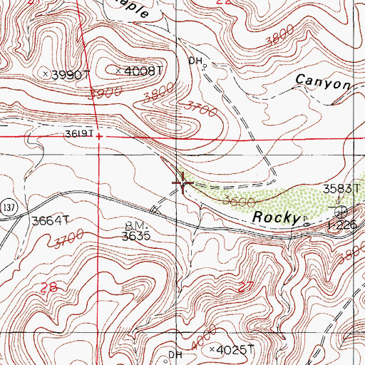 Topographic Map of Indian Big Spring, NM