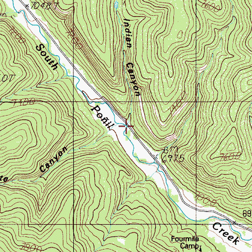 Topographic Map of Indian Canyon, NM