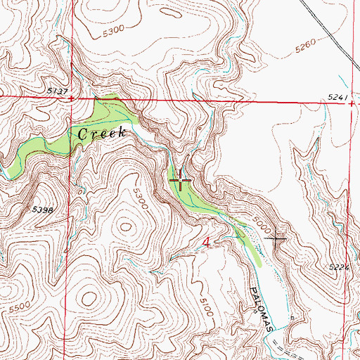 Topographic Map of Indian Canyon, NM