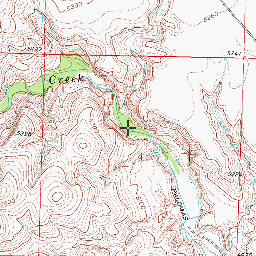 Topographic Map of Indian Creek, NM