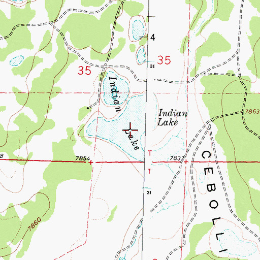 Topographic Map of Indian Lake, NM