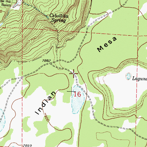 Topographic Map of Indian Mesa, NM