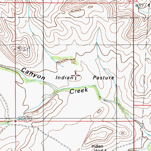 Topographic Map of Indian Pasture, NM