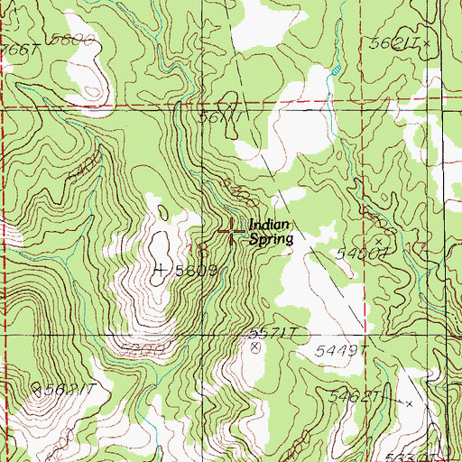 Topographic Map of Indian Spring, NM