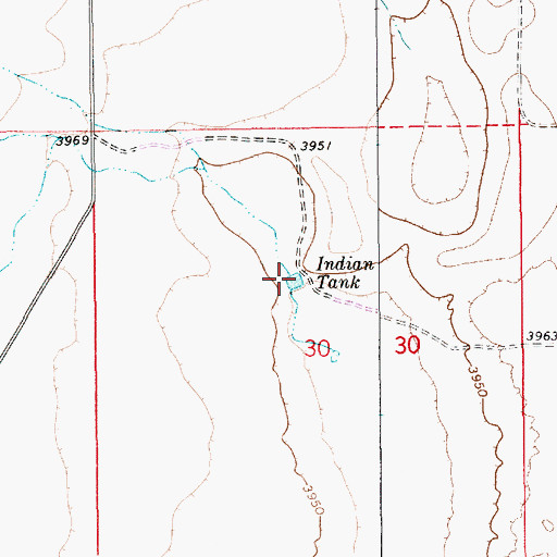 Topographic Map of Indian Tank, NM