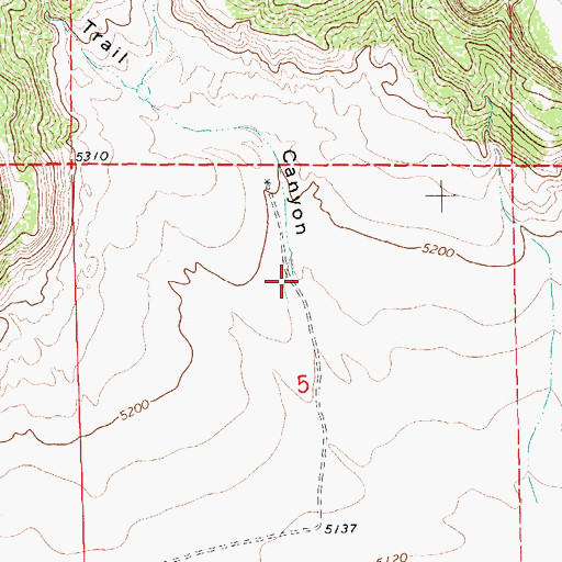 Topographic Map of Indian Trail Canyon, NM