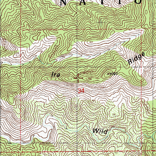 Topographic Map of Ira Ridge, NM