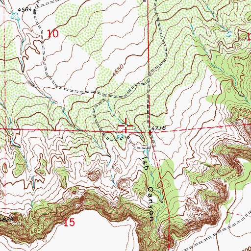 Topographic Map of Ish Canyon, NM