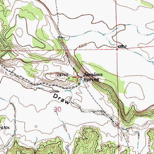Topographic Map of Jaralosa Spring, NM