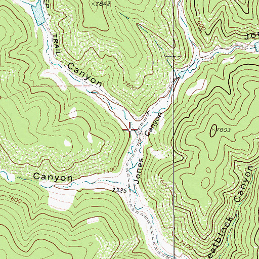 Topographic Map of Jenkins Canyon, NM