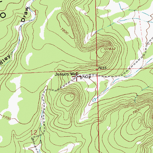 Topographic Map of Jensen Well, NM