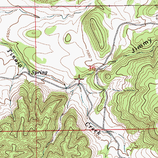 Topographic Map of Jimmy Spring Canyon, NM