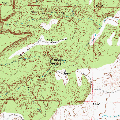 Topographic Map of Johnson Spring, NM