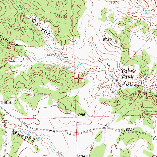 Topographic Map of Jones Arroyo, NM