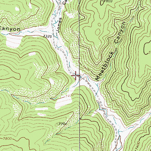 Topographic Map of Jones Canyon, NM
