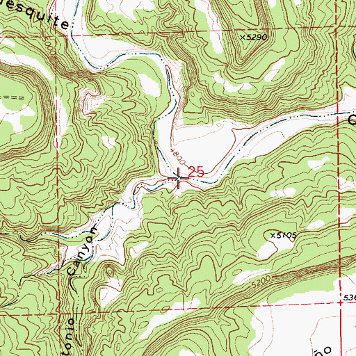 Topographic Map of Jose Antonio Canyon, NM