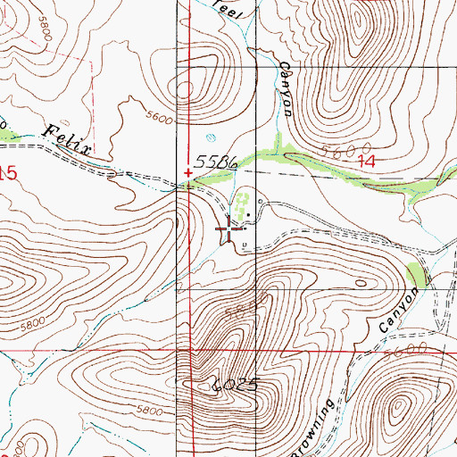 Topographic Map of Joy Ranch, NM