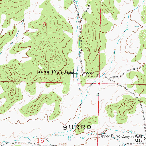 Topographic Map of Juan Vigil Pond, NM