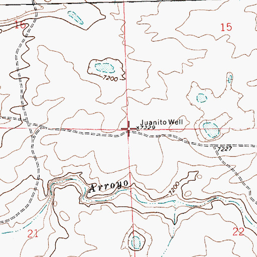 Topographic Map of Juanito Well, NM