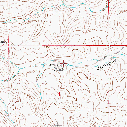 Topographic Map of Juniper Tank, NM