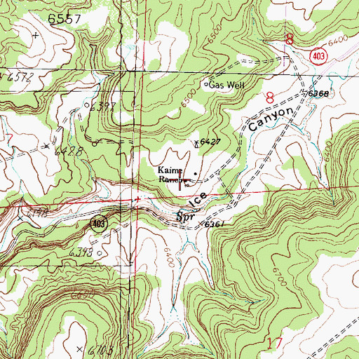 Topographic Map of Kaime Ranch, NM