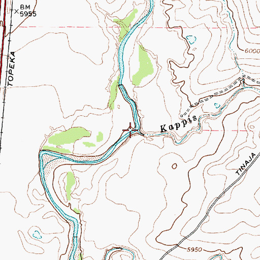 Topographic Map of Kappis Arroyo, NM