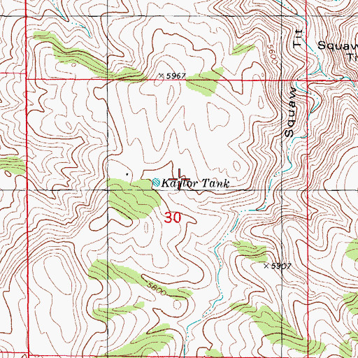 Topographic Map of Kaylor Tank, NM