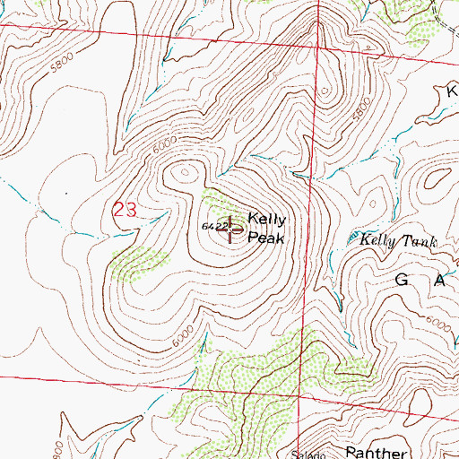 Topographic Map of Kelly Peak, NM