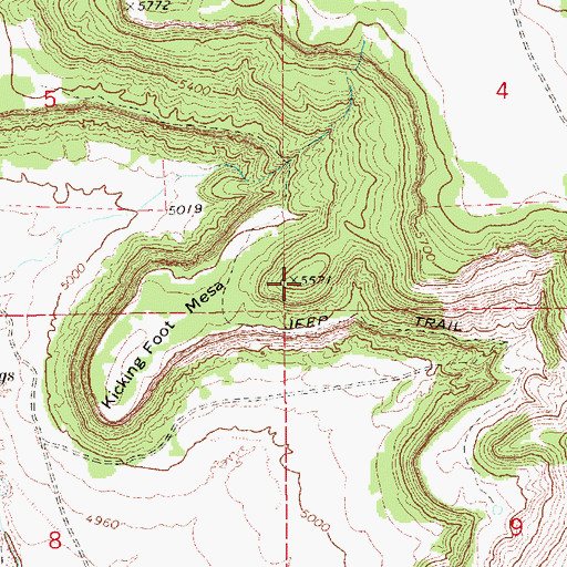 Topographic Map of Kicking Foot Mesa, NM