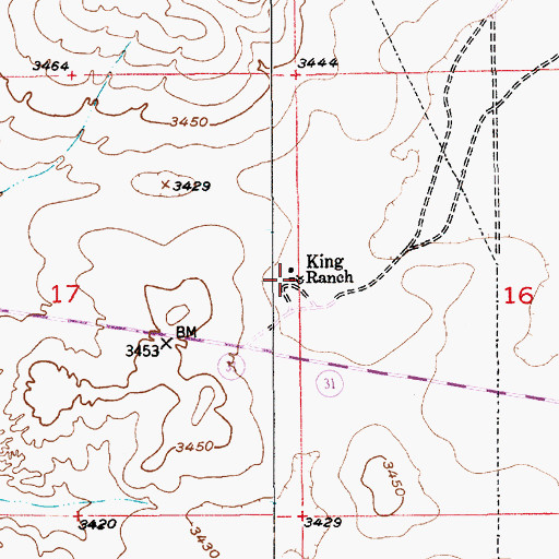 Topographic Map of King Ranch, NM
