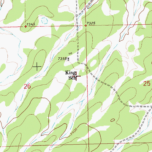 Topographic Map of King School, NM